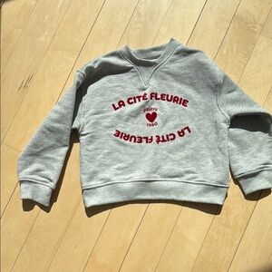 Gray Kids Sweatshirt with Red Print